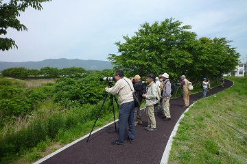 探鳥風景