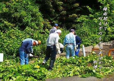 yuasa