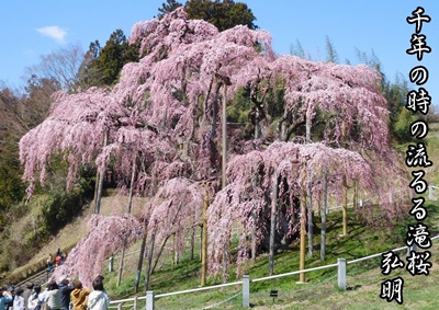 kawashima