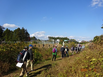 wakamiyaguu