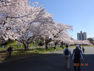 wakamiyaguu